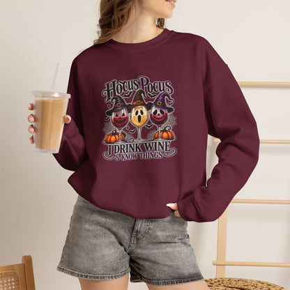 Hocus Pocus I Drink Wine & Know Things Sweatshirt