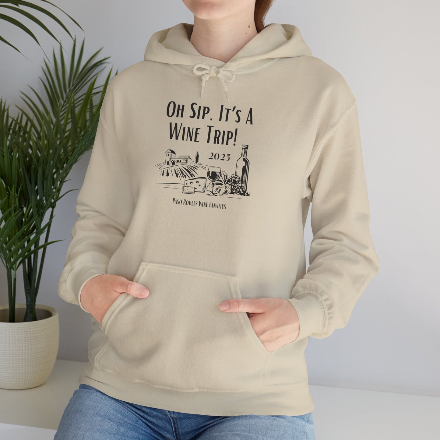 Oh Sip It's A Wine Trip Hoodie