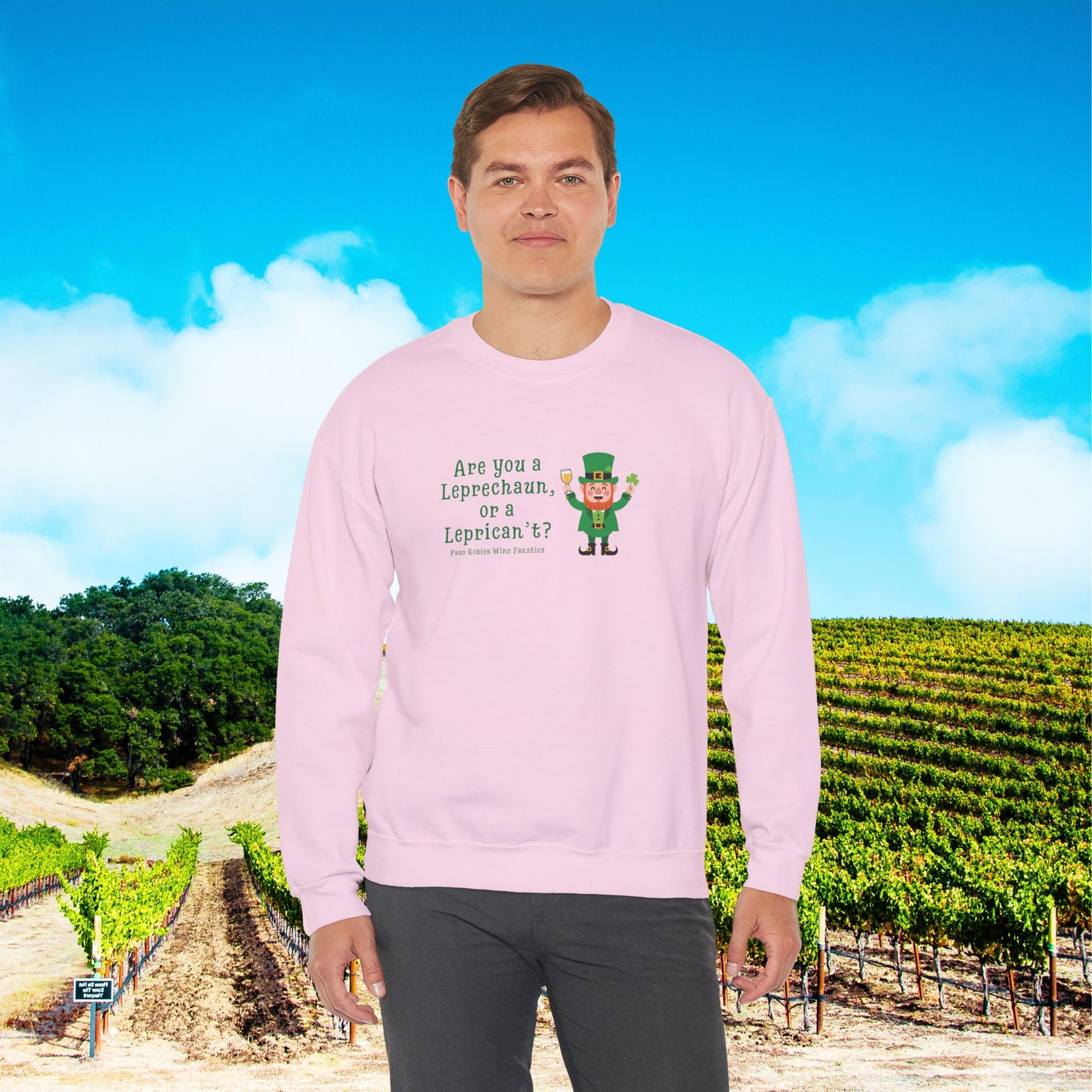 Are You A Leprechaun, Or A Leprecan't Sweatshirt