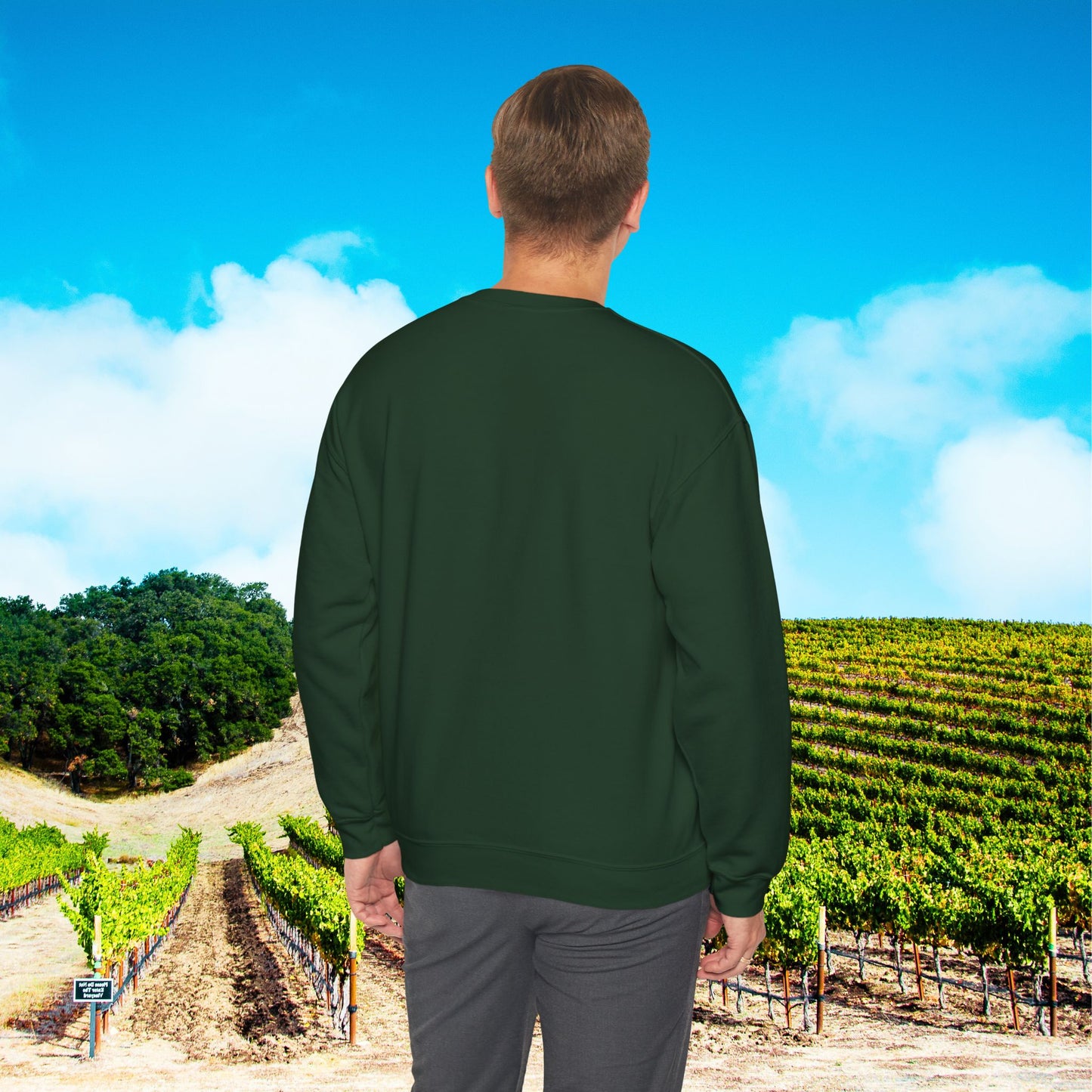 Are You A Leprechaun, Or A Leprecan't Sweatshirt