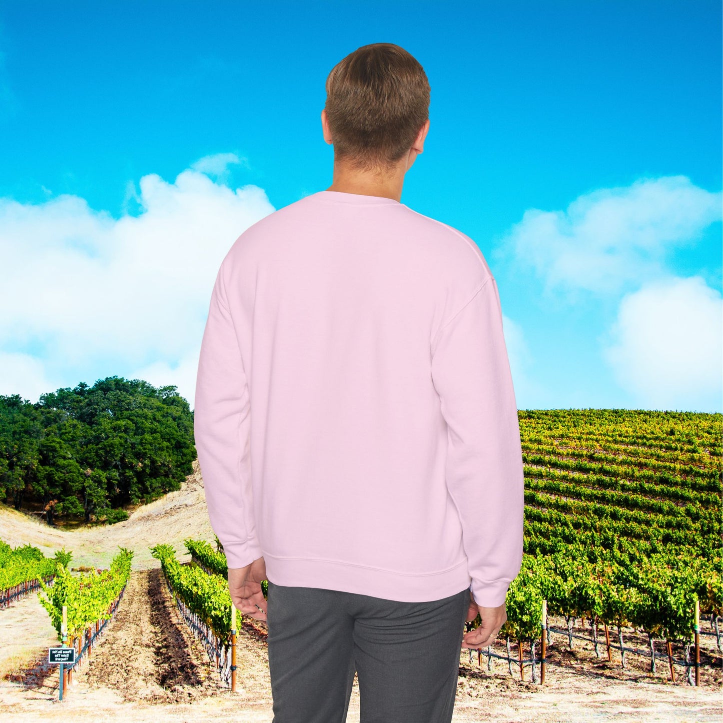 Are You A Leprechaun, Or A Leprecan't Sweatshirt