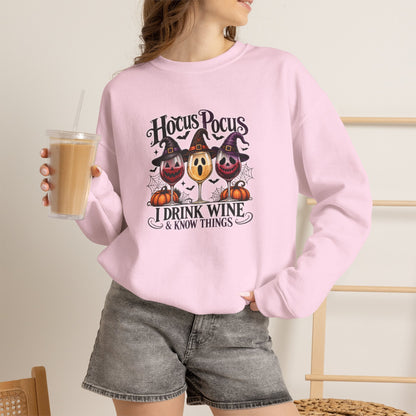 Hocus Pocus I Drink Wine & Know Things Sweatshirt