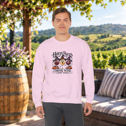Hocus Pocus I Drink Wine & Know Things Sweatshirt