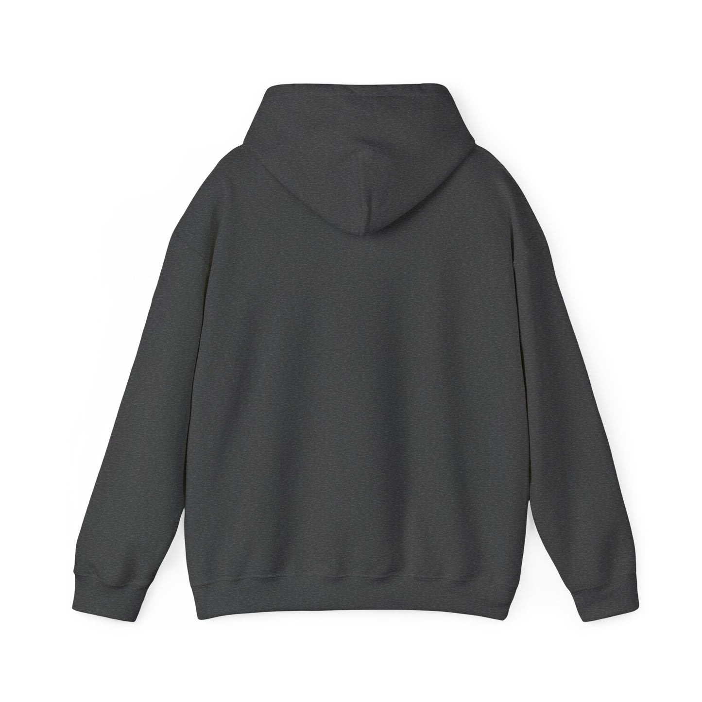 My Doctor Says I Need Glasses Hoodie