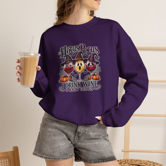 Hocus Pocus I Drink Wine & Know Things Sweatshirt