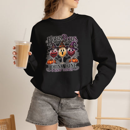 Hocus Pocus I Drink Wine & Know Things Sweatshirt