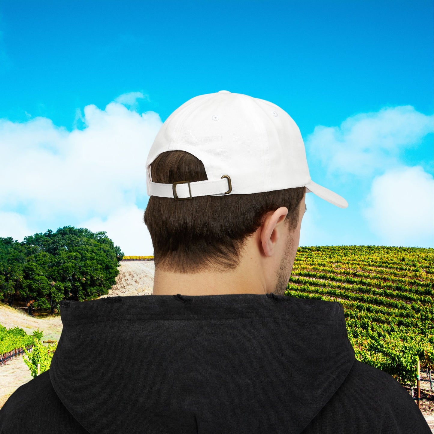 Paso Robles Wine Fanatics Banner Cap