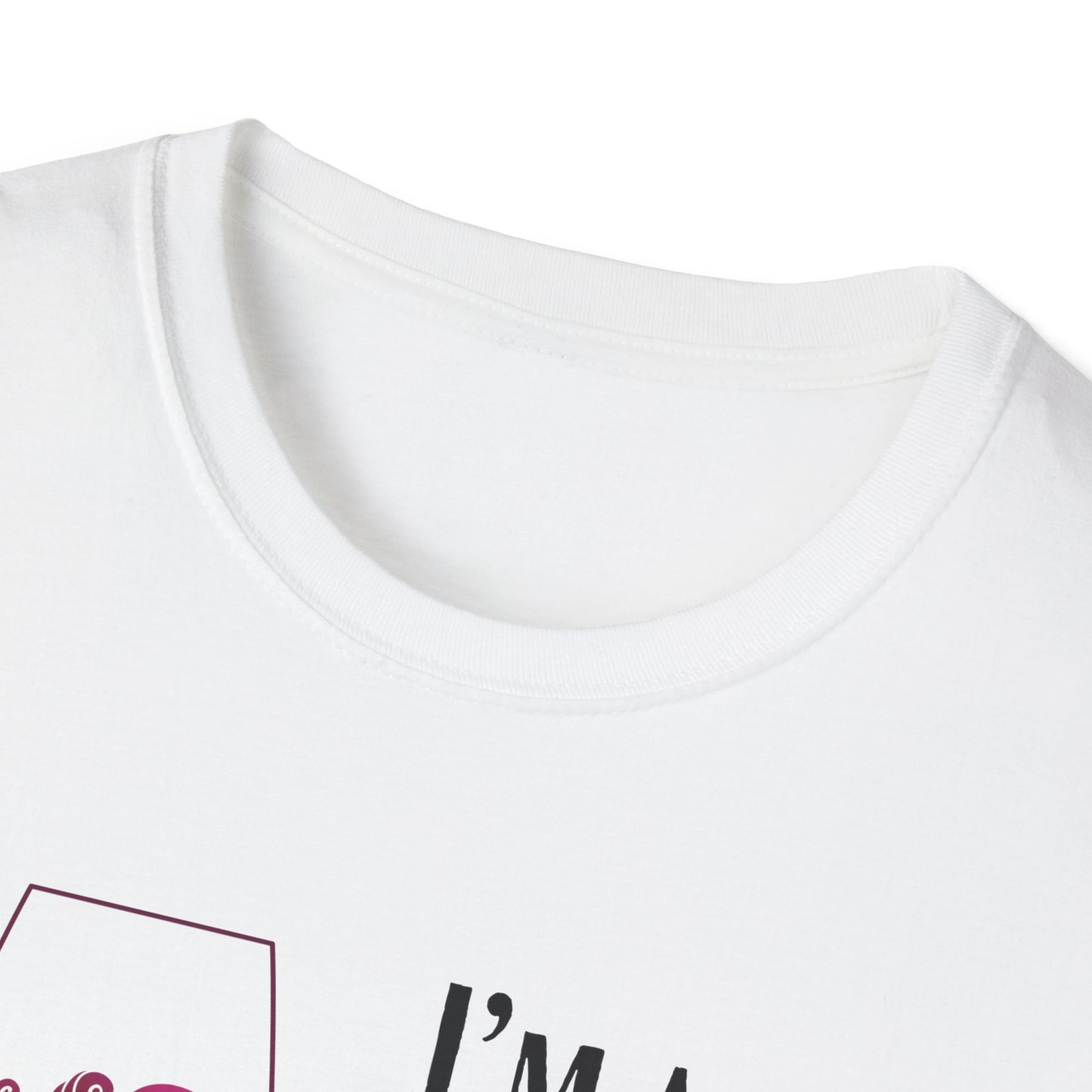 I'm A Regular Red Zeppelin Unisex Softstyle T-Shirt