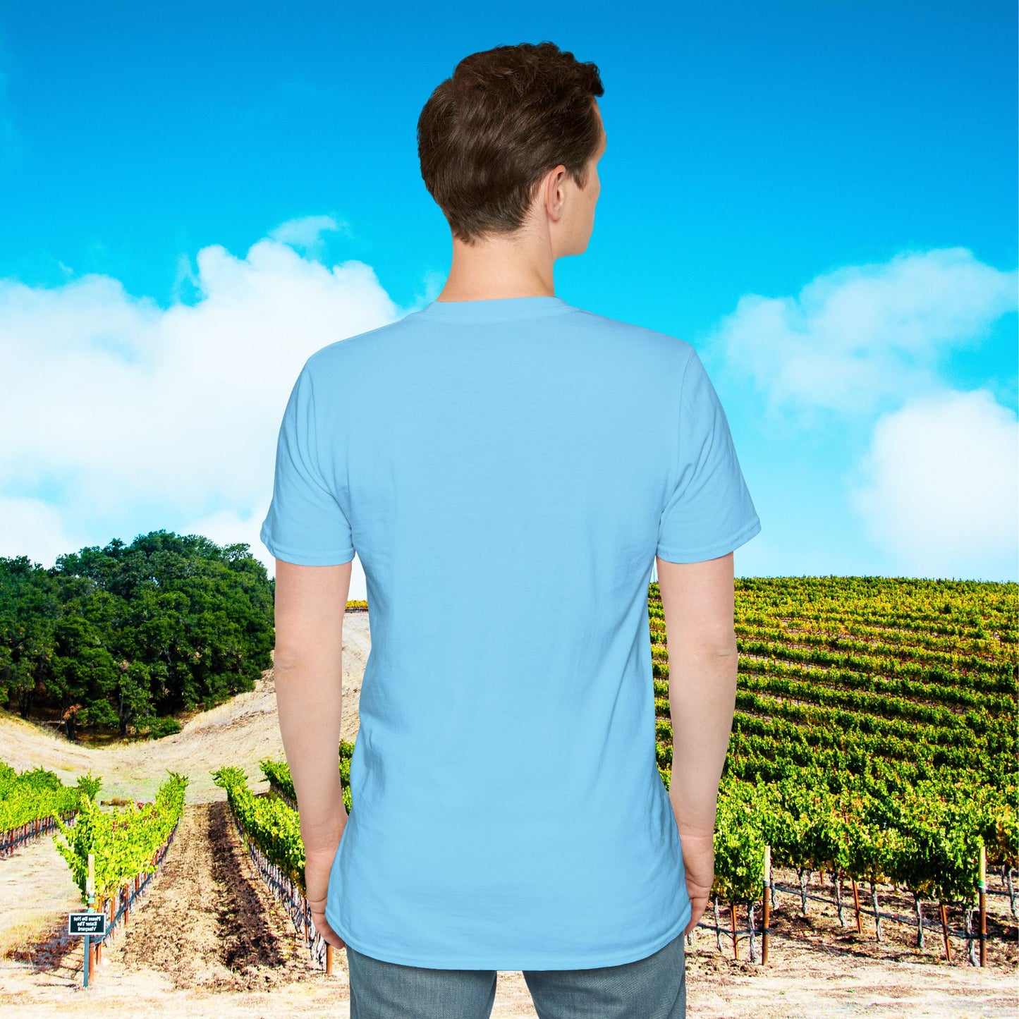 WINE Is Needed Everyday Unisex Softstyle T-Shirt