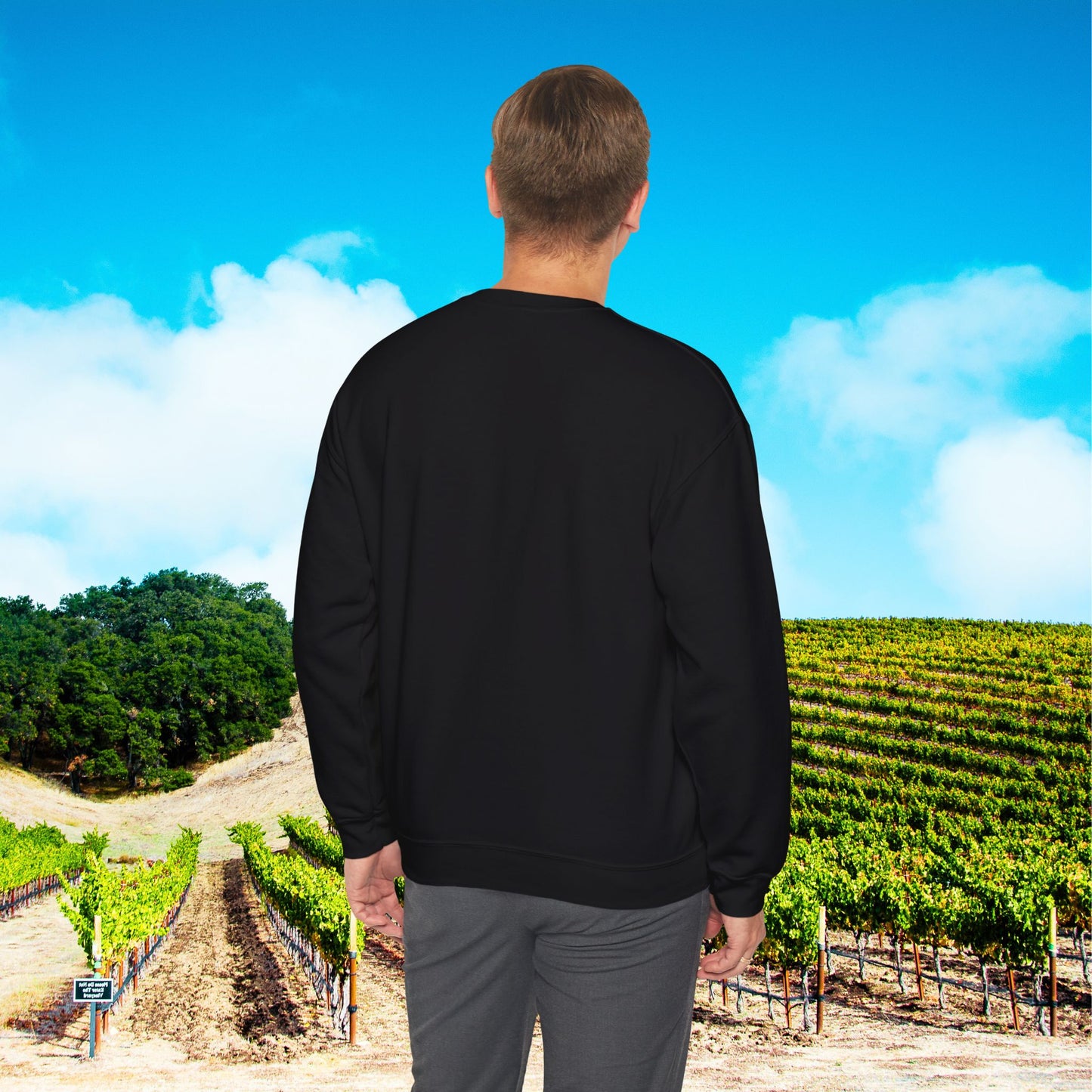 Are You A Leprechaun, Or A Leprecan't Sweatshirt