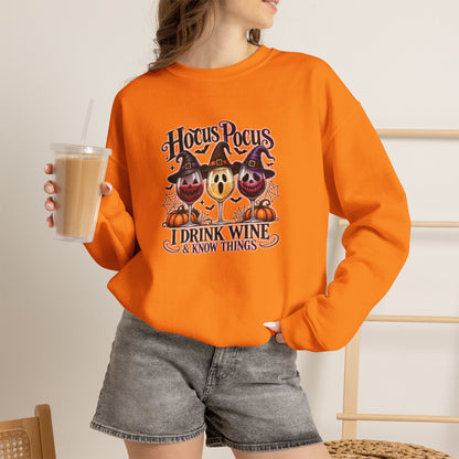 Hocus Pocus I Drink Wine & Know Things Sweatshirt