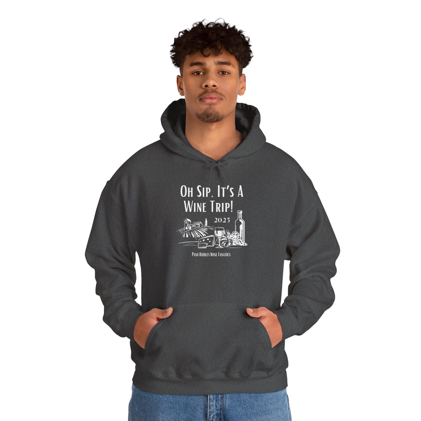 Oh Sip It's A Wine Trip Hoodie