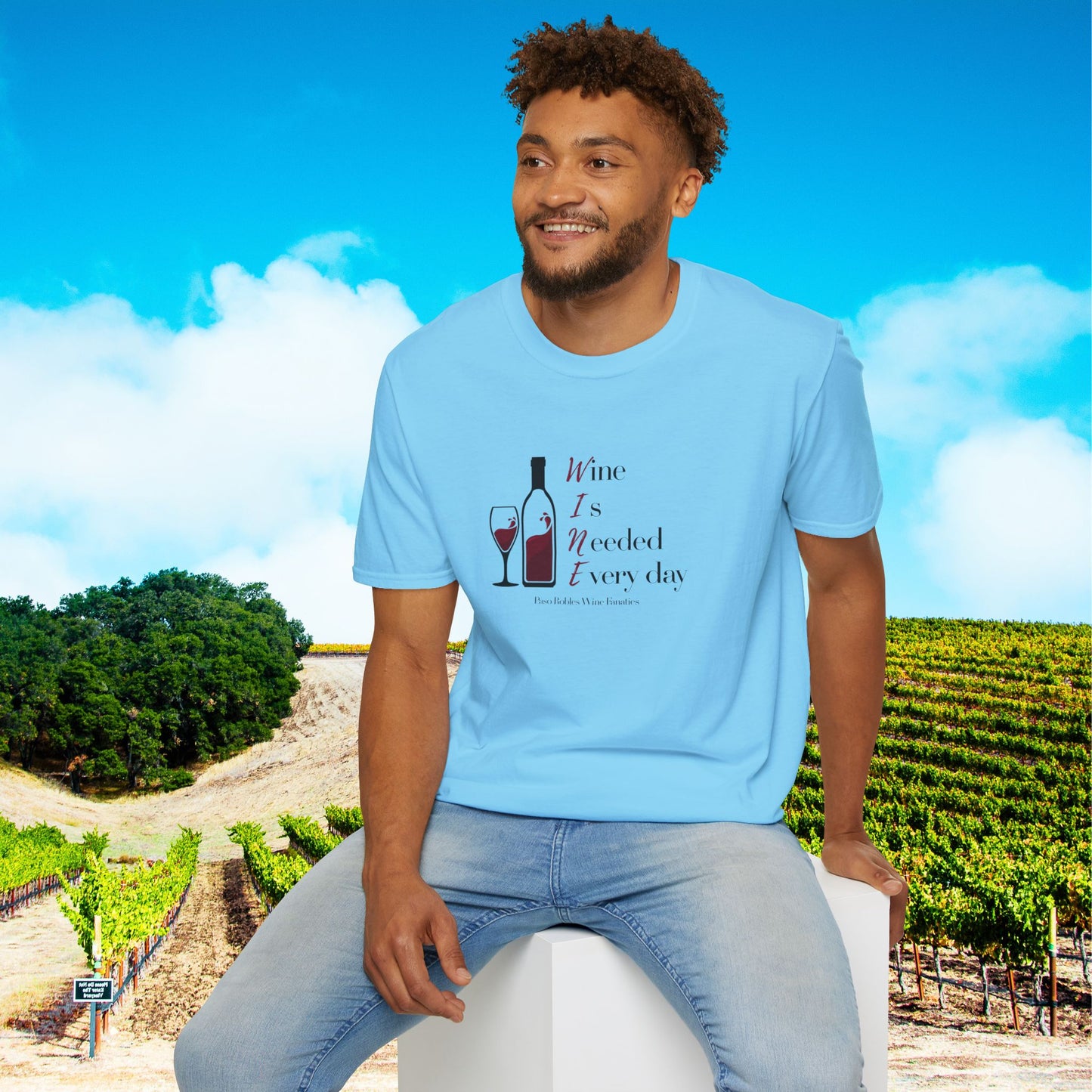 WINE Is Needed Everyday Unisex Softstyle T-Shirt